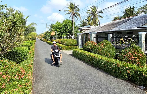 Nếp sống đẹp từ những hàng rào xanh