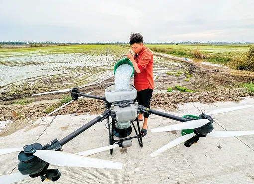 Hạt nhân lan tỏa từ 'bộ ba' khoa học công nghệ, đổi mới sáng tạo và chuyển đổi số