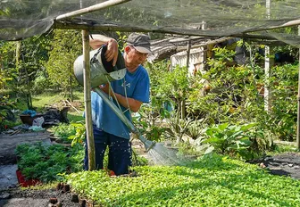 “Ươm mầm xanh” ở vàm Bà Hiệp