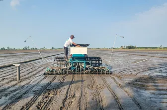 Chìa khóa để nông nghiệp ĐBSCL chuyển từ lượng sang chất