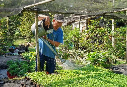 “Ươm mầm xanh” ở vàm Bà Hiệp