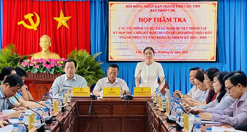 Ban Pháp chế HĐND thành phố thẩm tra dự thảo nghị quyết