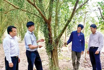 Nỗ lực nâng cao hiệu quả hoạt động tín dụng chính sách