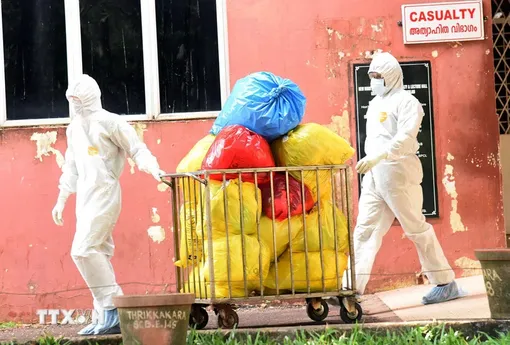 Virus Nipah có nguy cơ trở thành đại dịch như COVID-19 không?