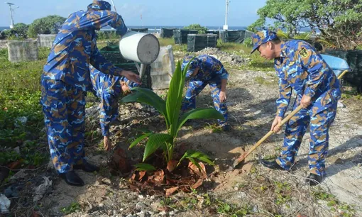 Vùng 4 Hải quân tiếp nhận 340.000 cây xanh để "Xanh hóa Trường Sa"