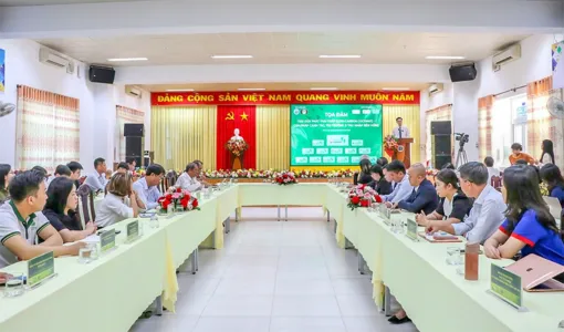 Dừa phát thải thấp - mở hướng nâng cao thu nhập cho người trồng dừa