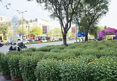 Phường Ninh Kiều sắp xếp 20 điểm mua bán hoa kiểng, bánh mứt dịp Tết Bính Ngọ