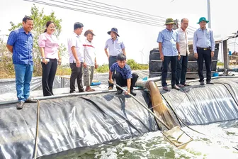 Những khuyến cáo khi nuôi tôm nước lợ