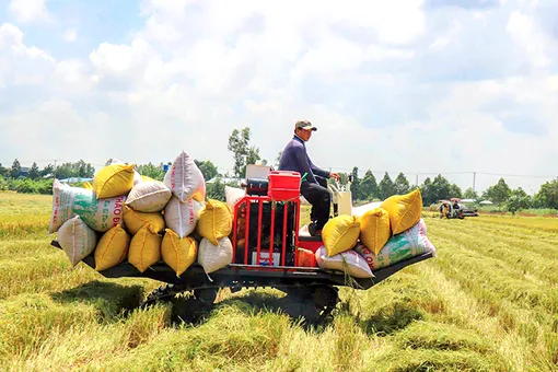 Hỗ trợ nông dân nâng cao hiệu quả sản xuất nông nghiệp