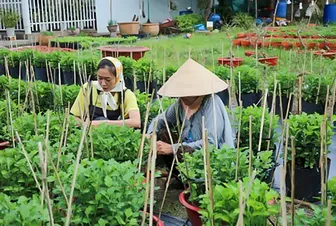 “Đệ nhất mưu sinh mùa đặc biệt - Mùa Tết 2026” đậm đà bản sắc văn hóa