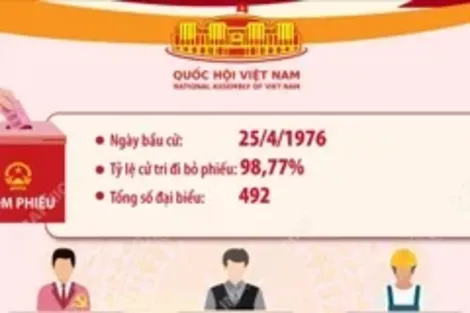 Kết quả bầu cử đại biểu Quốc hội khóa VI