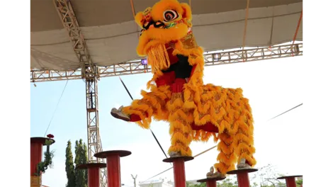 16 đội tham gia Giải vô địch Lân - Sư - Rồng TP Cần Thơ mở rộng mừng Đảng, mừng Xuân