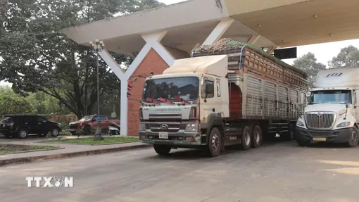 Khẩn trương giải tỏa ách tắc, thông quan kịp thời thực phẩm, hàng hóa