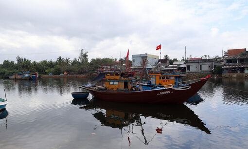 Combatting IUU fishing: Da Nang restructures fleet to protect marine resources