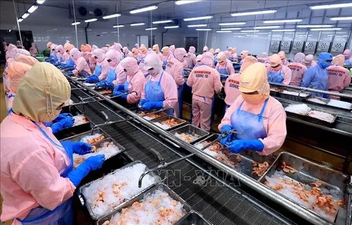 Kinh tế Việt Nam qua góc nhìn quốc tế: Hội tụ nhiều điều kiện để bước vào một chu kỳ tăng trưởng mới