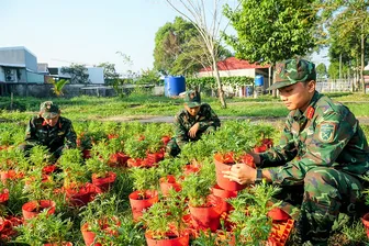 Vui xuân không quên nhiệm vụ