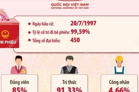 Kết quả bầu cử đại biểu Quốc hội khóa X