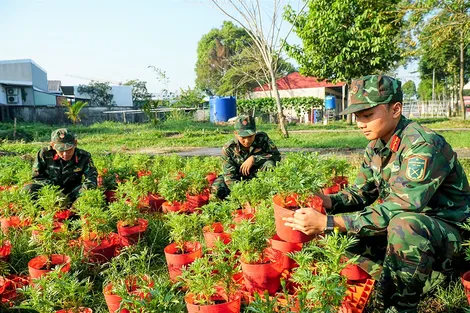 Vui xuân không quên nhiệm vụ