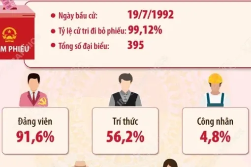 Kết quả bầu cử đại biểu Quốc hội khóa IX