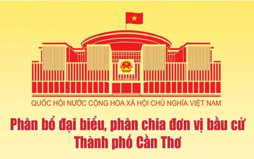 [INFOGRAPHICS] Phân bổ đại biểu, phân chia đơn vị bầu cử thành phố Cần Thơ
