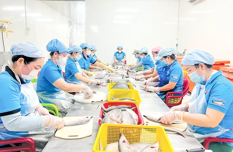 Gia tăng nguồn lực, nâng sức cạnh tranh cho sản phẩm OCOP địa phương