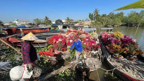 Vĩnh Long: Người dân đổ xô đi xác nhận nguồn gốc hoa, cây cảnh