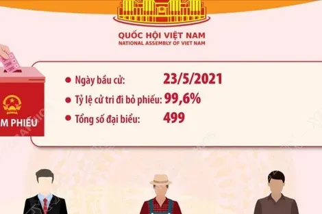 Kết quả bầu cử đại biểu Quốc hội khóa XV