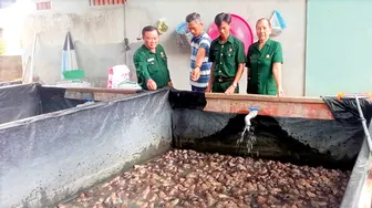 Cựu chiến binh giúp nhau giảm nghèo