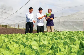 Cái Răng hỗ trợ doanh nghiệp, hộ kinh doanh, hợp tác xã phát triển sản xuất, kinh doanh