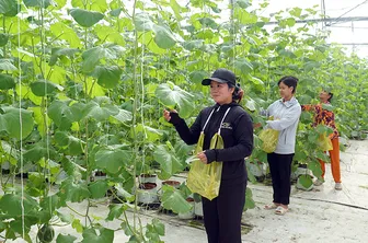 Đông Phước triển khai thực hiện hiệu quả nghị quyết