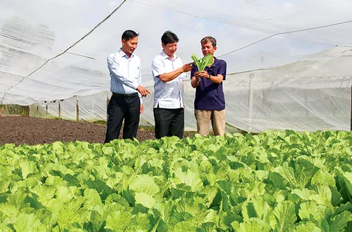 Cái Răng hỗ trợ doanh nghiệp, hộ kinh doanh, hợp tác xã phát triển sản xuất, kinh doanh