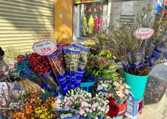 Hoa cành mới lạ được ưa chuộng