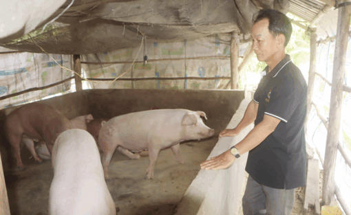 ក្តី​រីក​រាយ​ផ្ដើម​ពី​គោល​នយោ​បាយ​