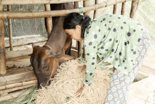 យក​ចិត្ត​ទុក​ដាក់​លើ​ការ​អភិ​វឌ្ឍ​សេដ្ឋ​កិច្ច​-សង្គម​ជូន​ជន​ជាតិ​ភាគ​តិច​