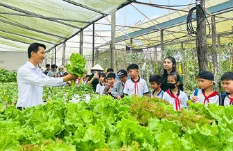 Tuổi trẻ Cần Thơ tổ chức nhiều hoạt động vì an sinh xã hội