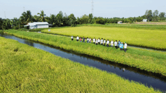 កសិករ​រីក​រាយ​អា​ស្រ័យ​ទម្រង់​បង្ក​ង-ស្រូវ​