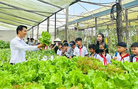 Tuổi trẻ Cần Thơ tổ chức nhiều hoạt động vì an sinh xã hội