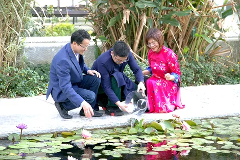 Giữ trọn hương vị Tết Việt nơi đất khách