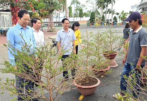 Lãnh đạo thành phố kiểm tra công tác tổ chức Chợ hoa Xuân Bính Ngọ năm 2026