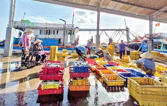 Tết ấm no vùng ven biển Cần Thơ