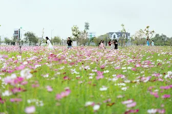 Check-in đúng điệu, khởi triệu sung túc cùng Happy Home Cà Mau