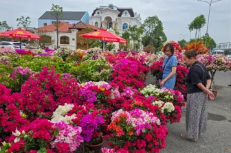 Sức mua hoa kiểng Tết còn yếu, giá không tăng