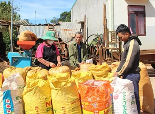 Bài cuối: Tiếng gọi quê nhà khi Tết đến xuân về!