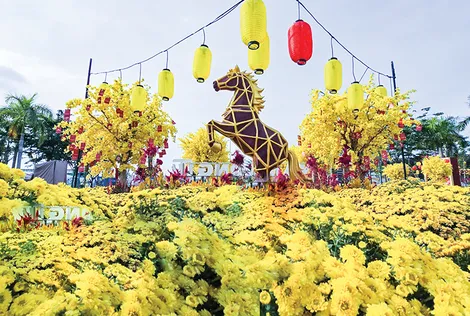 Xuân về trên phố