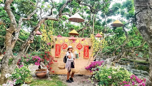 Nhiều sản phẩm, dịch vụ mới phục vụ du khách dịp Tết