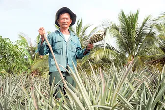 Cựu chiến binh gương mẫu