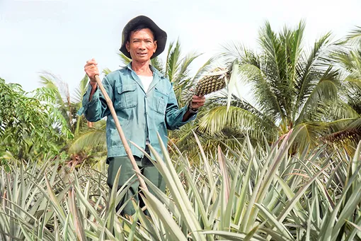 Cựu chiến binh gương mẫu