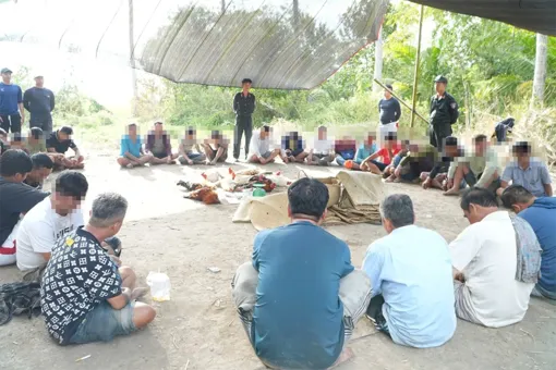 Triệt phá sới gà, bắt giữ 34 đối tượng liên quan