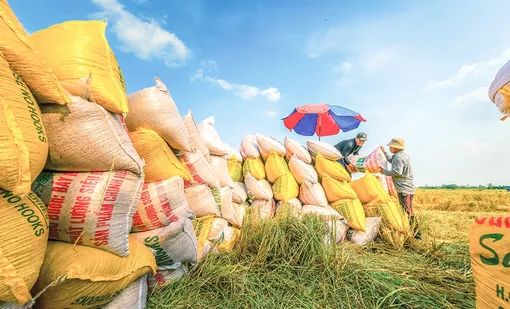 Khát vọng xanh trong mùa Xuân mới