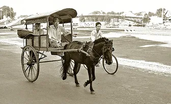 Lối xưa xe ngựa Cần Thơ